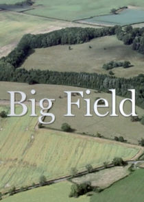 Big Field poster