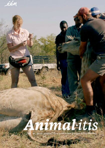 Animalitis poster