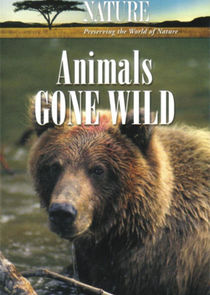 Animals Gone Wild poster