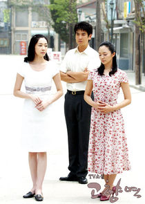 TV Novel: Hometown Station poster