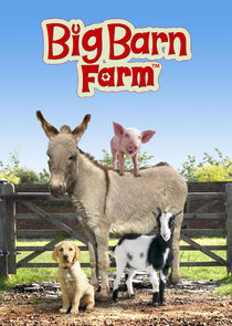 Big Barn Farm poster