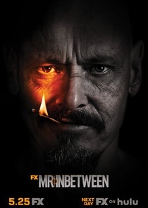 Mr Inbetween poster