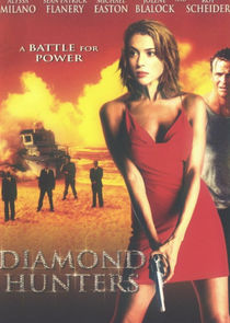The Diamond Hunters poster
