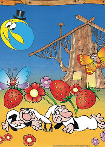 Pohádky z mechu a kapradí poster
