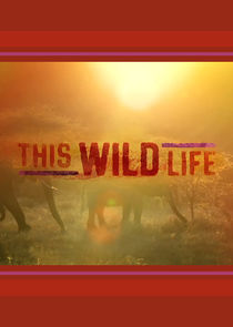 This Wild Life poster
