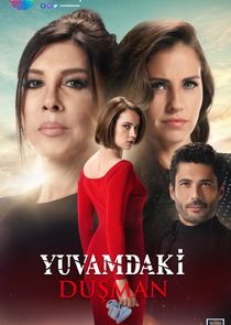 Yuvamdaki Düşman poster