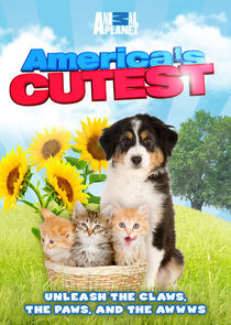 America's Cutest poster