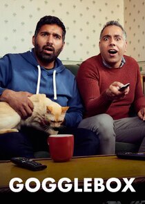 Gogglebox poster