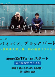 Bye Bye Blackbird poster