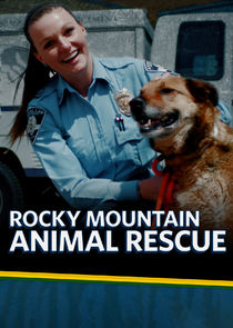 Rocky Mountain Animal Rescue poster