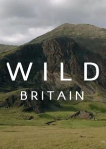 Wild Britain poster