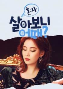 How's It Living Alone? poster
