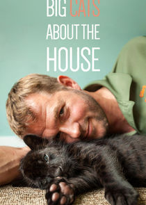 Big Cats About the House poster