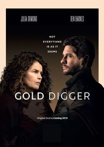 Gold Digger poster