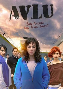 Avlu poster