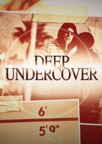 Deep Undercover poster