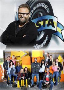 Sveriges värsta kändisbilförare poster