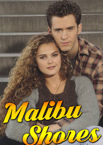 Malibu Shores poster