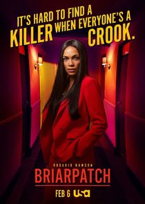 Briarpatch poster