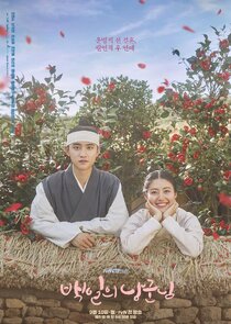 100 Days My Prince poster