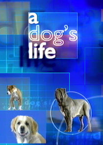 A Dog's Life poster