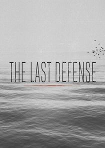 The Last Defense poster