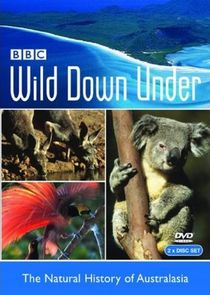 Wild Down Under poster