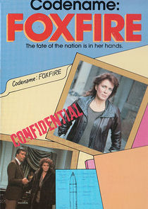 Code Name: Foxfire poster