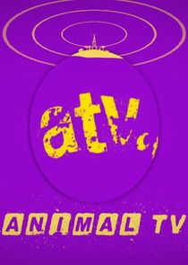 Animal TV poster
