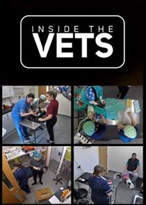 Inside the Vets poster