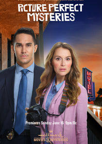 Picture Perfect Mysteries poster