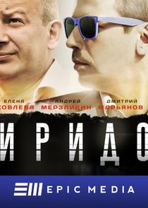 Свиридовы poster