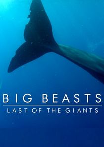 Big Beasts: Last of the Giants poster