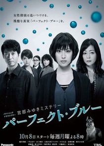 Perfect Blue poster