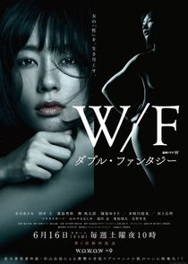 Double Fantasy poster