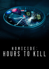 Homicide: Hours to Kill poster