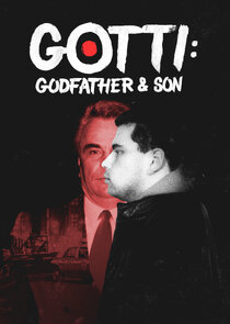 Gotti: Godfather & Son poster