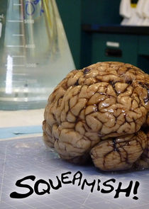 Squeamish! poster