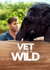 Vet Gone Wild poster