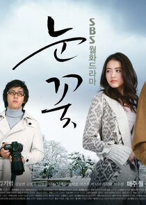Snow Flower poster