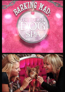 Barking Mad: The Welsh Dog Spa poster