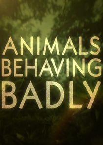 Animals Behaving Badly poster