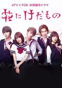 Hana ni Kedamono poster