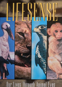 Lifesense poster