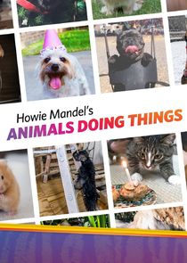 Howie Mandel's Animals Doing Things poster