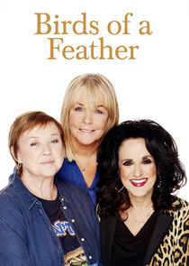 Birds of a Feather poster