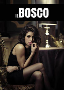 Il bosco poster