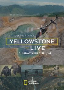 Yellowstone Live poster