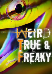 Weird, True & Freaky poster