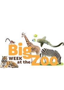 Big Week at the Zoo poster